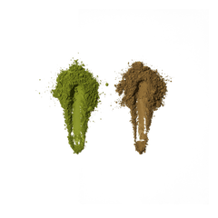 craft matcha and craft hojicha powder