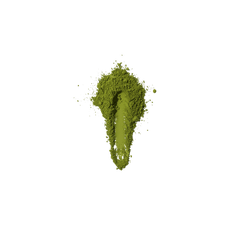 craft matcha powder
